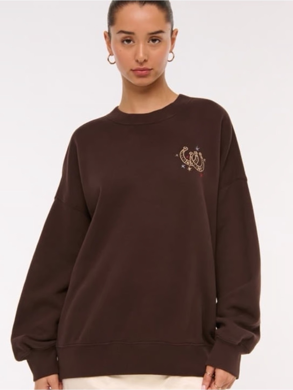 Abercrombie Brown Horseshoe Graphic Crewneck